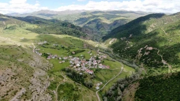 Bozkır olarak bilinen Sivas’ta Karadeniz’i andıran görüntüler mest ediyor
