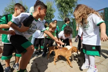 Buca Belediyesi, miniklere hayvan sevgisi aşılıyor
