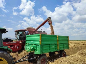 Buğday verimi Keşan çiftçisinin yüzünü güldürdü
