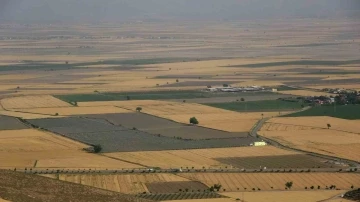 Hataylı üretici buğday alım taban fiyatının açıklanmasını bekliyor