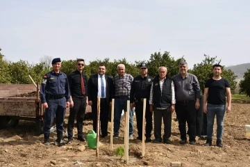 Buharkent tarımı atağa kalktı
