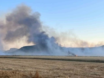 Burdur’da 300 dekarlık tarım arazisi ve saman balyaları küle döndü