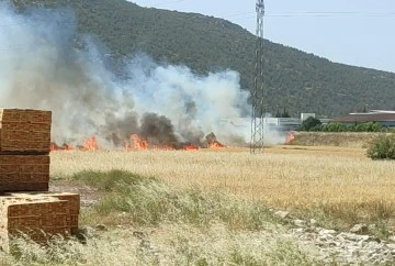 Burdur’da çıkan arazi yangınında yaklaşık 25 dekar alan yandı