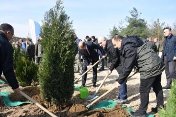 Bursa'da 8 bin fidan toprakla buluştu 