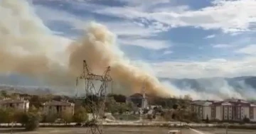 Bursa'da arazide çıkan yangın, çalılıklara sıçradı