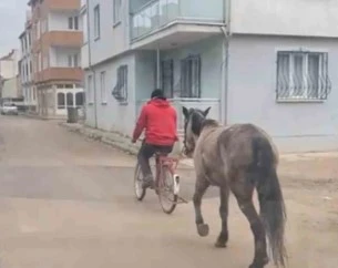 Bursa’da atı bisikletine bağlayarak götürdü