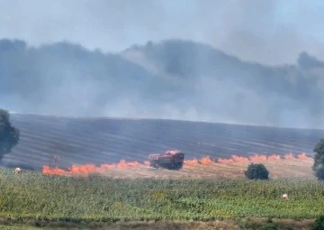 Bursa'da, buğday tarlasında çıkan yangın ormana ilerliyor