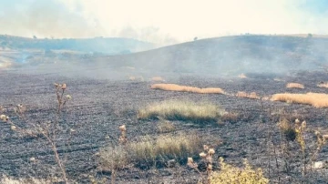 Bursa'da, hasadı yapılan buğday tarlasında yangın 