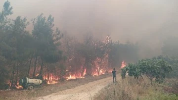 Bursa Orhaneli'de orman yangını 