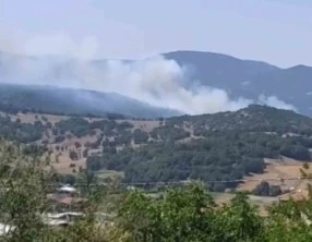 Bursa’da orman yangını...