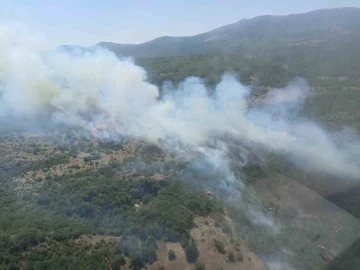 Bursa’da orman yangınına havadan ve karadan müdahale sürüyor