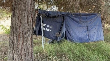 Bursa'da, ormanda erkek cesedi bulundu