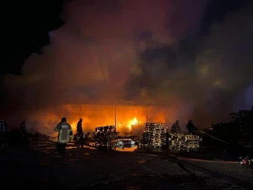 Bursa'da palet fabrikasında yangın