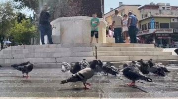 Bursa'da sıcak havadan bunalan güvercinlerin serinlemesi 