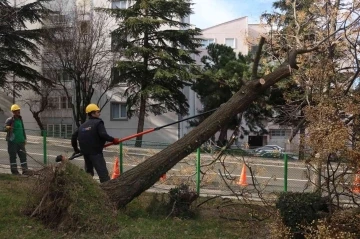 Bursa’da şiddetli lodosun etkisi sürüyor
