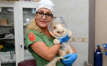 Bursa'da sokağa terk edilen kedi, estetik operasyonuyla gözlerine kavuştu