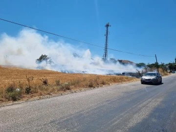 Bursa-İzmir Karayolu'nda örtü yangını 