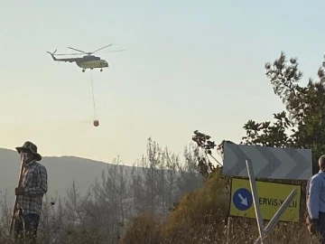 Bursa'nın Karacabey ilçesinde orman yangını