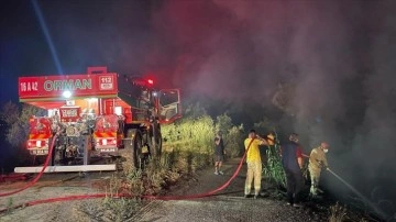 Bursa'da çıkan orman yangını kontrol altına alındı