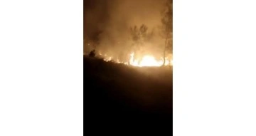 Bursa’da ormanlık alanda korkutan yangın