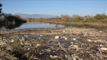 Büyük Menderes Nehri'nde kuraklık nedeniyle yüzlerce balık öldü