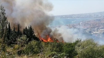 Büyükçekmece'de ormanlık alanda çıkan yangın söndürüldü