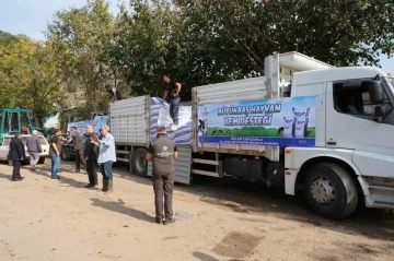 Büyükşehir’den sel felaketinden etkilenen üreticiye yem desteği
