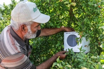 Büyükşehir’in çiftçilere faydalı böcek desteği ara vermedi
