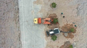 Büyükşehir, Mimarsinan OSB Kavşağı ile refüjleri ağaç taşıma yöntemi ile ağaçlandırıyor
