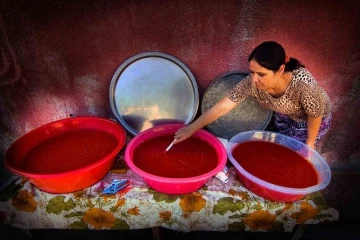 Büyükşehir Salça Üretim Tesisi Fizibilite Projesi’ne destek
