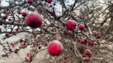 Karabük'te buz tutan gölde balık keyfi