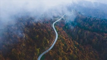 Çam Dağı'nda sonbahar renklerine "sis filtresi"