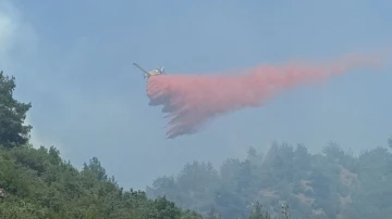 Çanakkale’de 3 gündür devam eden orman yangınına müdahale sürüyor
