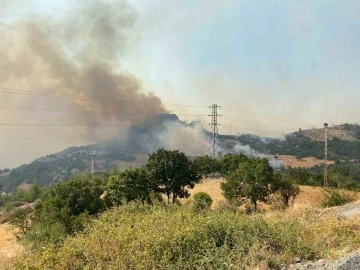 Çanakkale’de büyük orman yangını...2 köy boşaltıldı
