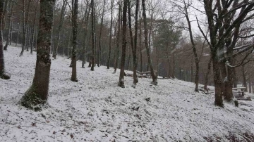 Çanakkale’de kar yağışı etkili oluyor
