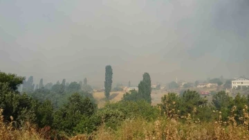 Çanakkale’de orman yangınına havadan ve karadan müdahale ediliyor
