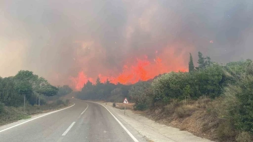 Çanakkale’de ormanlara giriş yasağı 30 Kasım’a kadar uzatıldı
