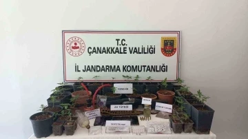 Çanakkale’de uyuşturucu operasyonu: 12 gözaltı
