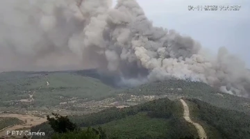 Çanakkale’deki orman yangınının başlangıcı ve yayılışı gözetleme kulesinden kaydedildi
