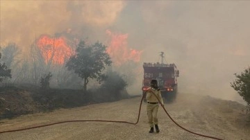 Çanakkale'de çıkan orman yangını kontrol altına alındı