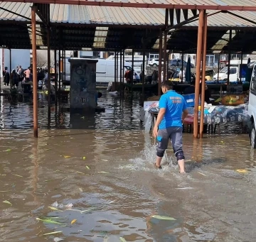 Ev, iş yeri ve tarım arazilerini su bastı