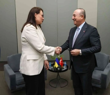 Bakan Çavuşoğlu, Ukrayna Başbakan Yardımcısı ile görüştü