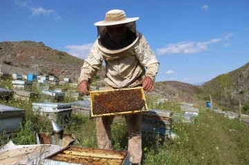 Çiçekler açtı, arılar bal mesaisine başladı
