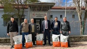 Çiftçilere hibe destekli yağlık ayçiçeği tohumu dağıtıldı
