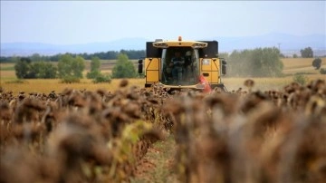 Çiftçilere yaklaşık 75,8 milyon liralık tarımsal destek ödemesi bugün yapılacak