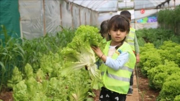 "Çocuk serası"nda yetişen ürünler depremzedelere aş oluyor