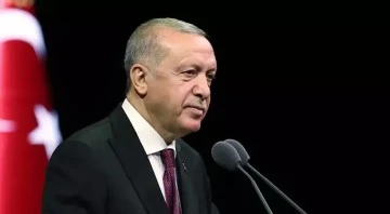 Cumhurbaşkanı Erdoğan'dan damgalı pasaport açıklaması 