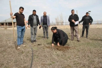 Cumhuriyet savcıları fidan dikti
