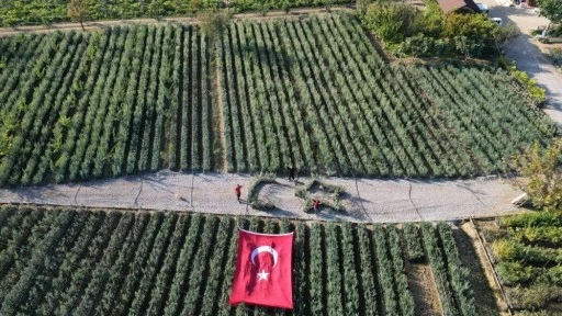 Bursa İznik'te Cumhuriyetimizin 101. yılı için 101 zeytin fidesi toprakla buluştu