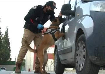 Denizli’de 1 haftada 114 kişi tutuklandı
